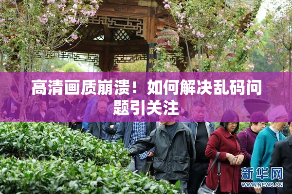 高清画质崩溃！如何解决乱码问题引关注