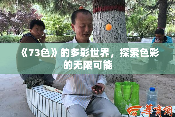 《73色》的多彩世界，探索色彩的无限可能