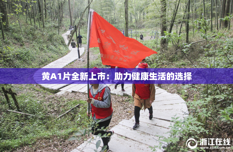 黄A1片全新上市：助力健康生活的选择