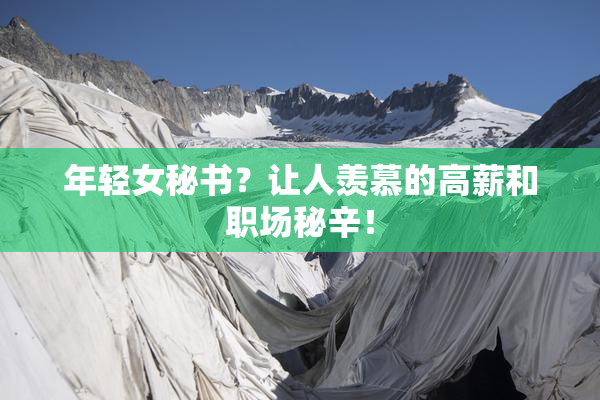 年轻女秘书？让人羡慕的高薪和职场秘辛！