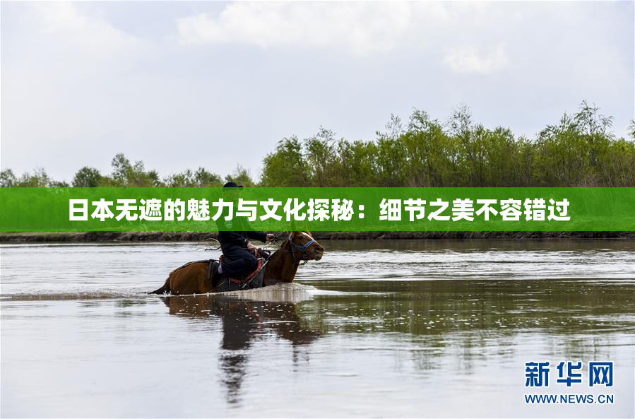 日本无遮的魅力与文化探秘：细节之美不容错过