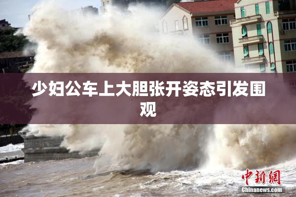 少妇公车上大胆张开姿态引发围观
