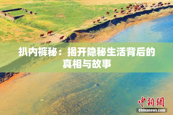 扒内裤秘：揭开隐秘生活背后的真相与故事