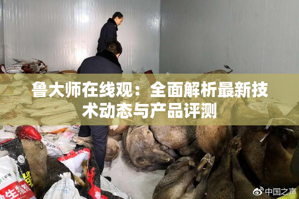 鲁大师在线观：全面解析最新技术动态与产品评测