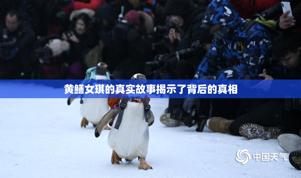黄鳝女琪的真实故事揭示了背后的真相