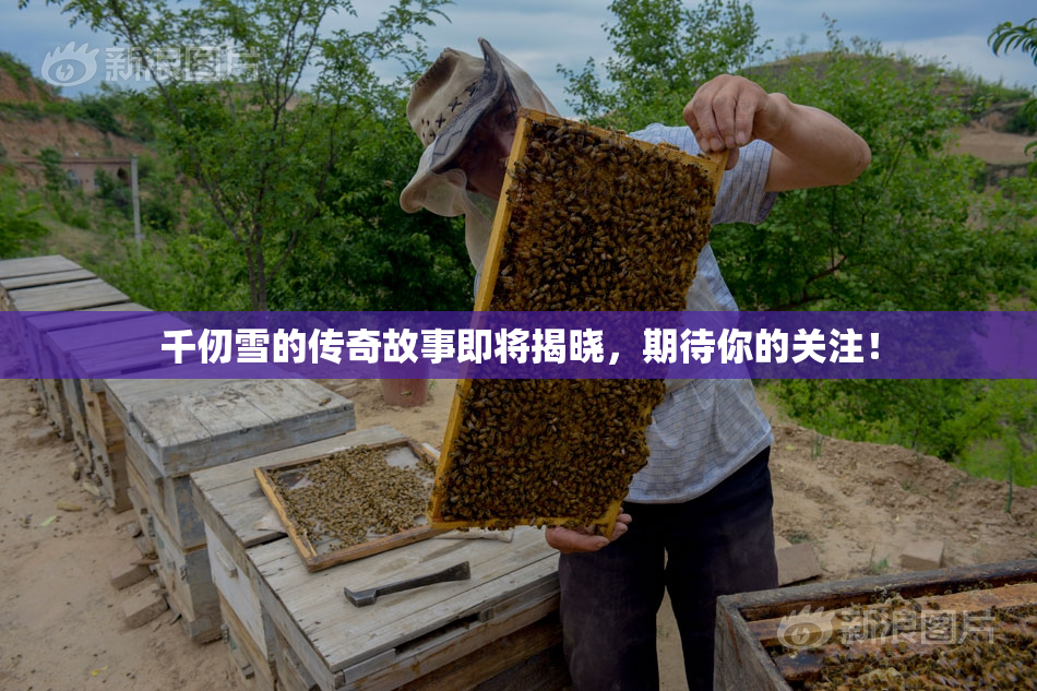 千仞雪的传奇故事即将揭晓，期待你的关注！