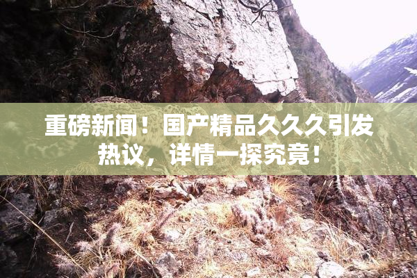 重磅新闻！国产精品久久久引发热议，详情一探究竟！