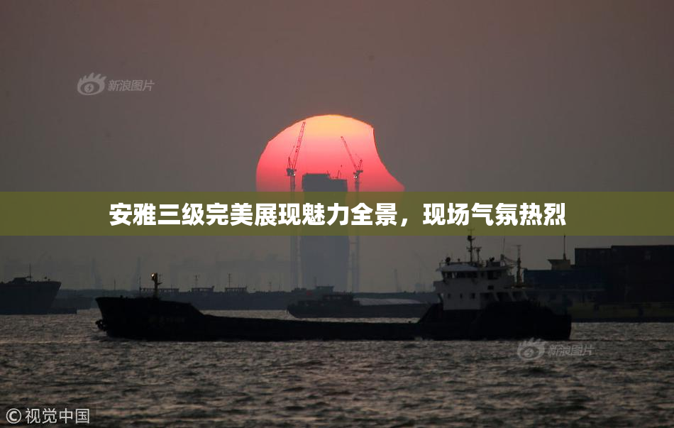 安雅三级完美展现魅力全景，现场气氛热烈