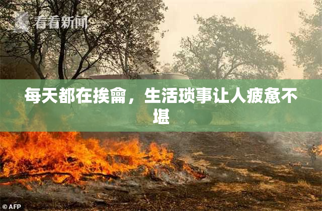 每天都在挨龠，生活琐事让人疲惫不堪