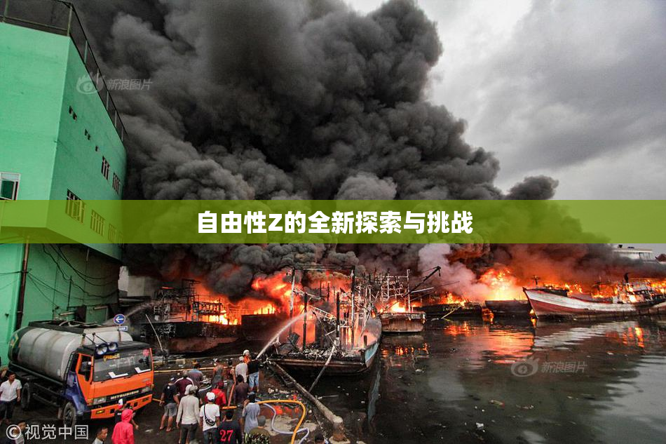 自由性Z的全新探索与挑战