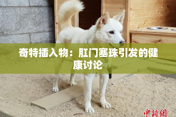 奇特插入物：肛门塞珠引发的健康讨论