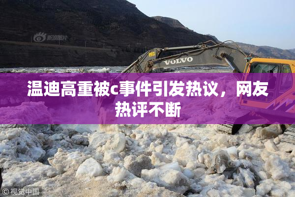 温迪高重被c事件引发热议，网友热评不断
