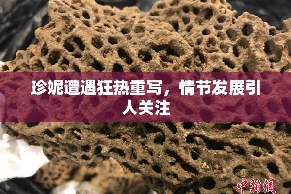 珍妮遭遇狂热重写，情节发展引人关注