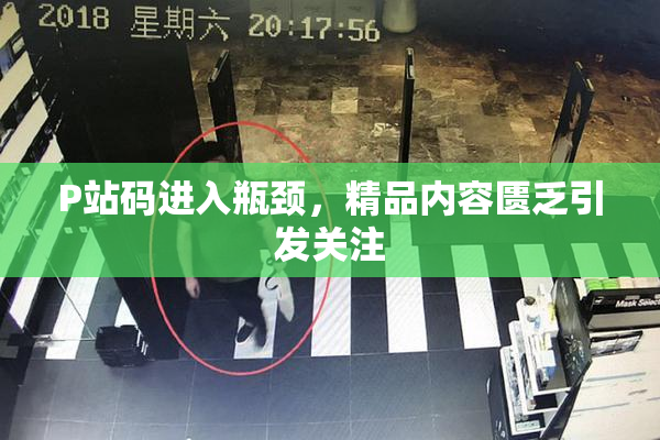 P站码进入瓶颈，精品内容匮乏引发关注