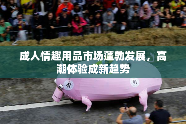 成人情趣用品市场蓬勃发展，高潮体验成新趋势