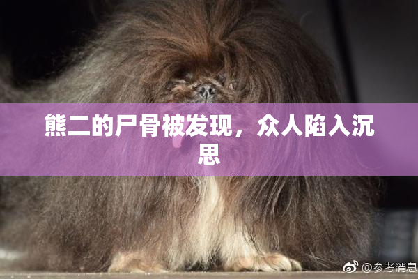 熊二的尸骨被发现，众人陷入沉思