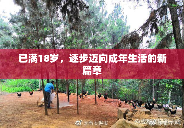 已满18岁，逐步迈向成年生活的新篇章