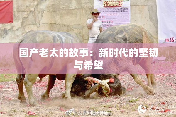 国产老太的故事：新时代的坚韧与希望