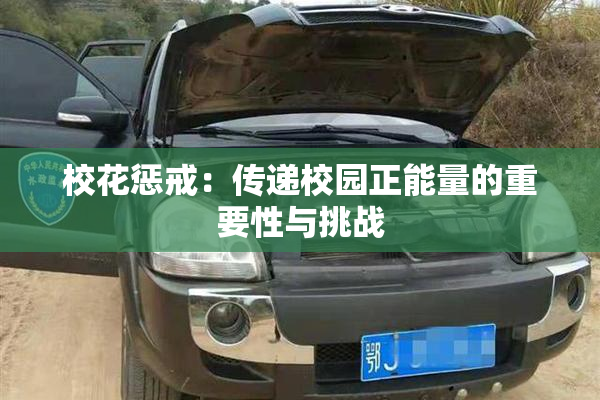 校花惩戒：传递校园正能量的重要性与挑战
