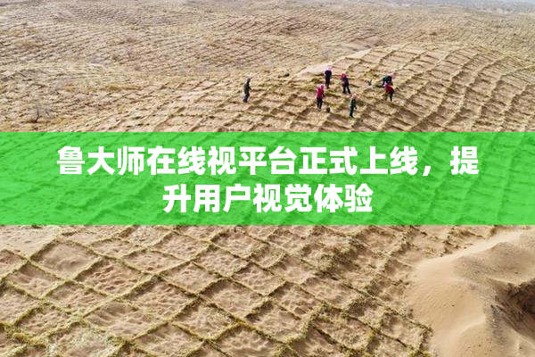 鲁大师在线视平台正式上线，提升用户视觉体验