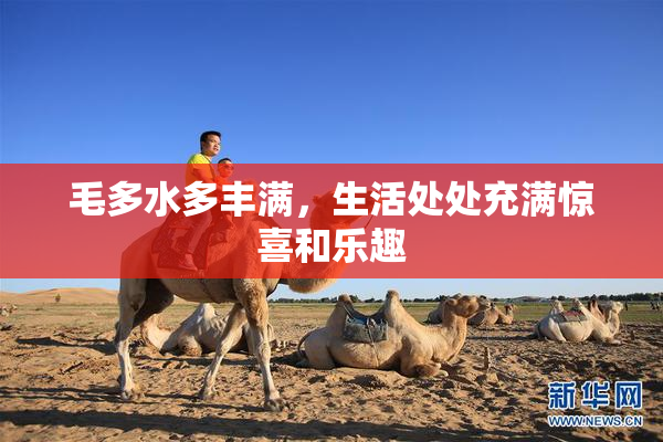 毛多水多丰满，生活处处充满惊喜和乐趣