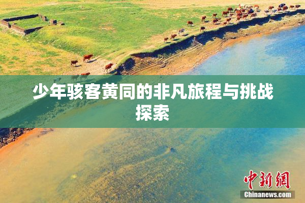 少年骇客黄同的非凡旅程与挑战探索