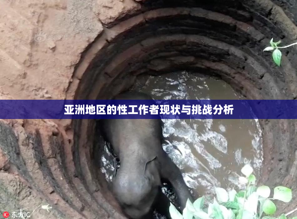 亚洲地区的性工作者现状与挑战分析