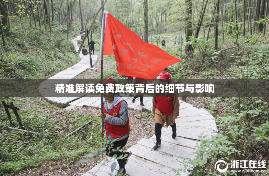 精准解读免费政策背后的细节与影响