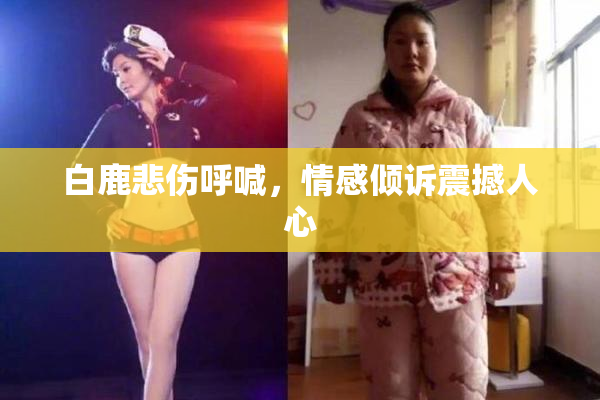 白鹿悲伤呼喊，情感倾诉震撼人心