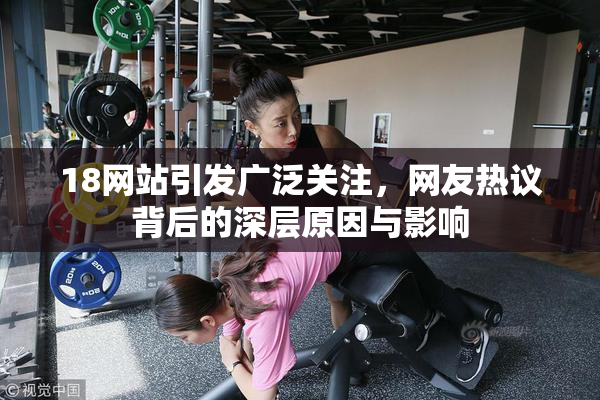 18网站引发广泛关注，网友热议背后的深层原因与影响
