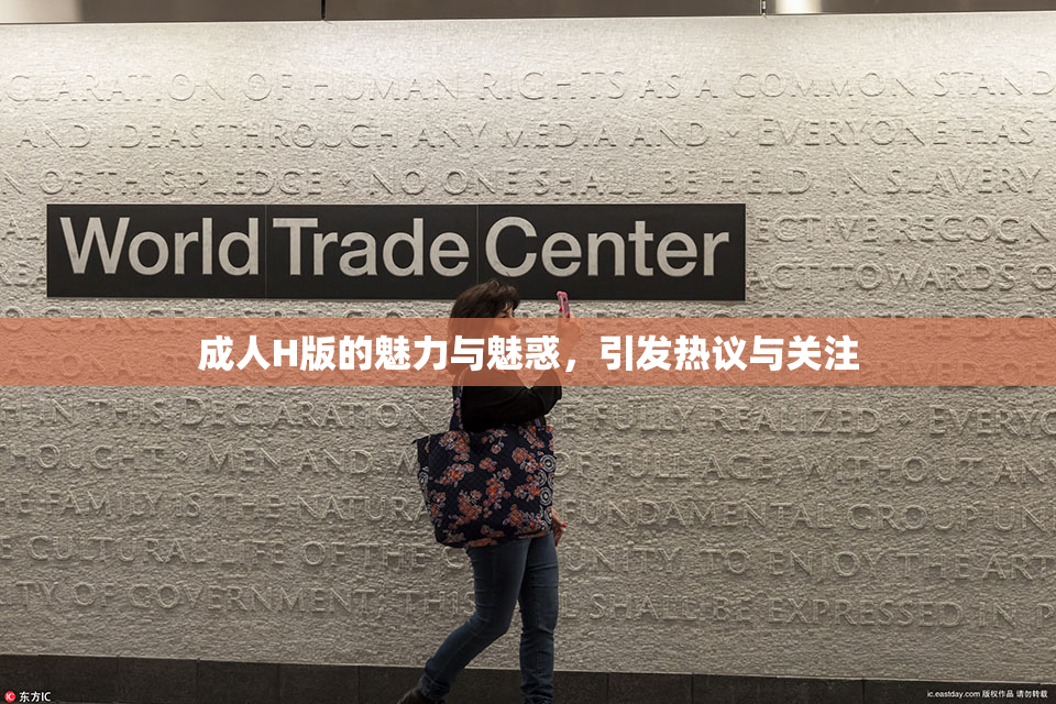 成人H版的魅力与魅惑，引发热议与关注