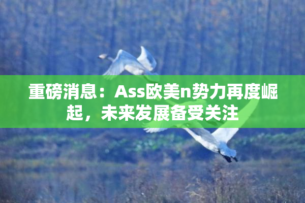 重磅消息：Ass欧美n势力再度崛起，未来发展备受关注