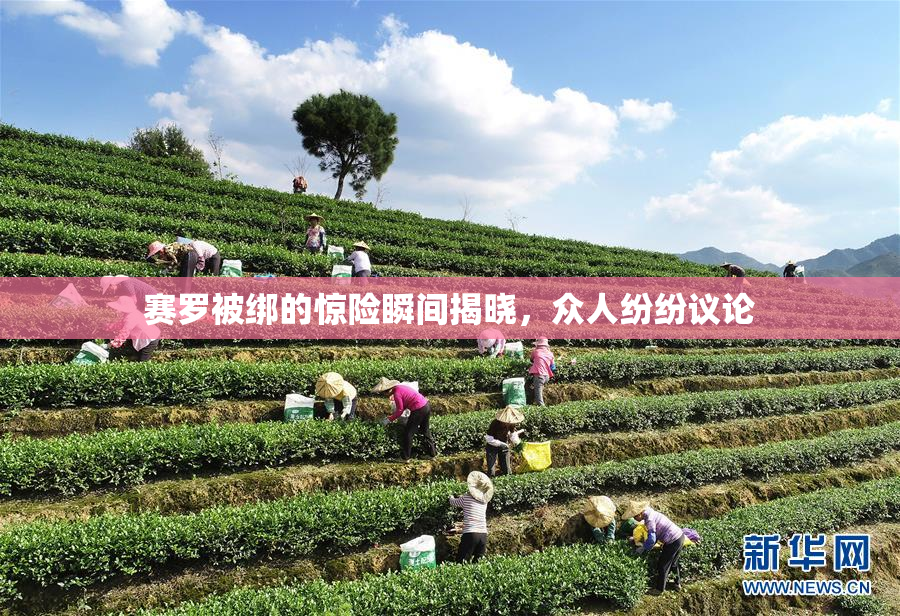 赛罗被绑的惊险瞬间揭晓，众人纷纷议论