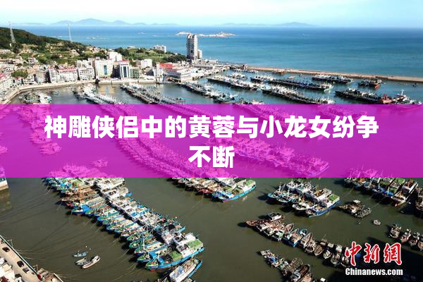 神雕侠侣中的黄蓉与小龙女纷争不断