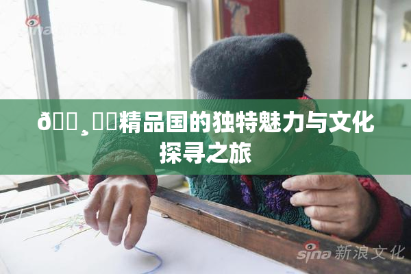 🌸‌✿精品国的独特魅力与文化探寻之旅