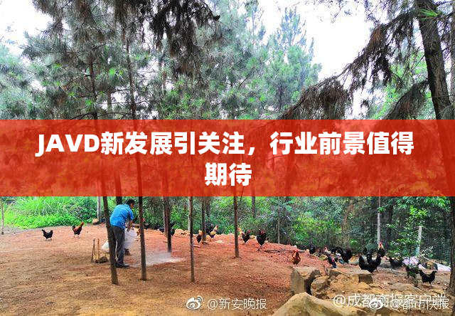 JAVD新发展引关注，行业前景值得期待