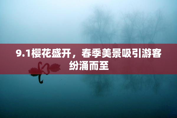 9.1樱花盛开，春季美景吸引游客纷涌而至