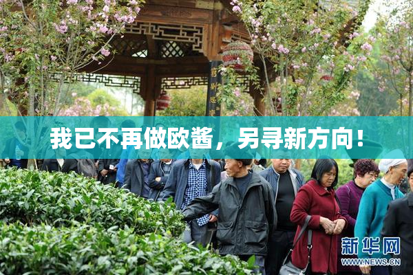 我已不再做欧酱，另寻新方向！