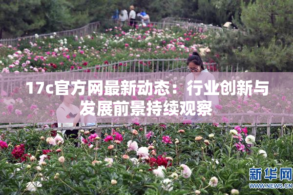 17c官方网最新动态：行业创新与发展前景持续观察