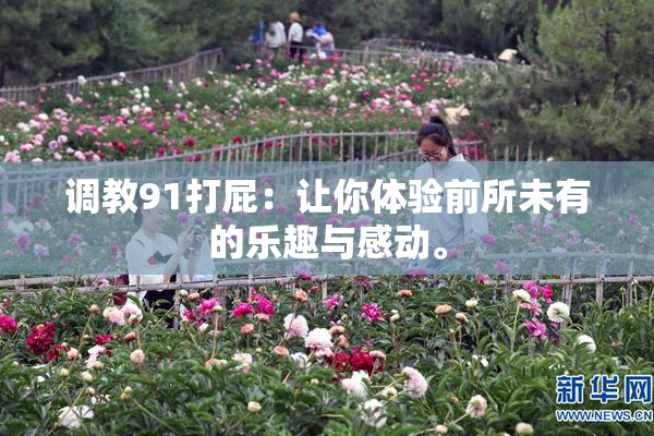 调教91打屁：让你体验前所未有的乐趣与感动。