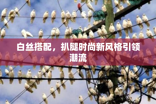 白丝搭配，扒腿时尚新风格引领潮流