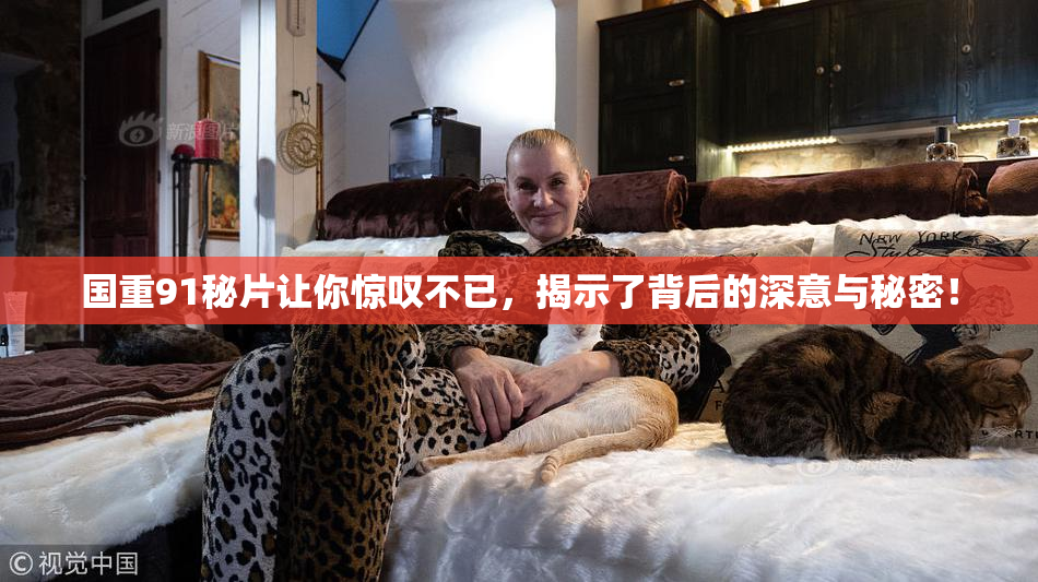 国重91秘片让你惊叹不已，揭示了背后的深意与秘密！