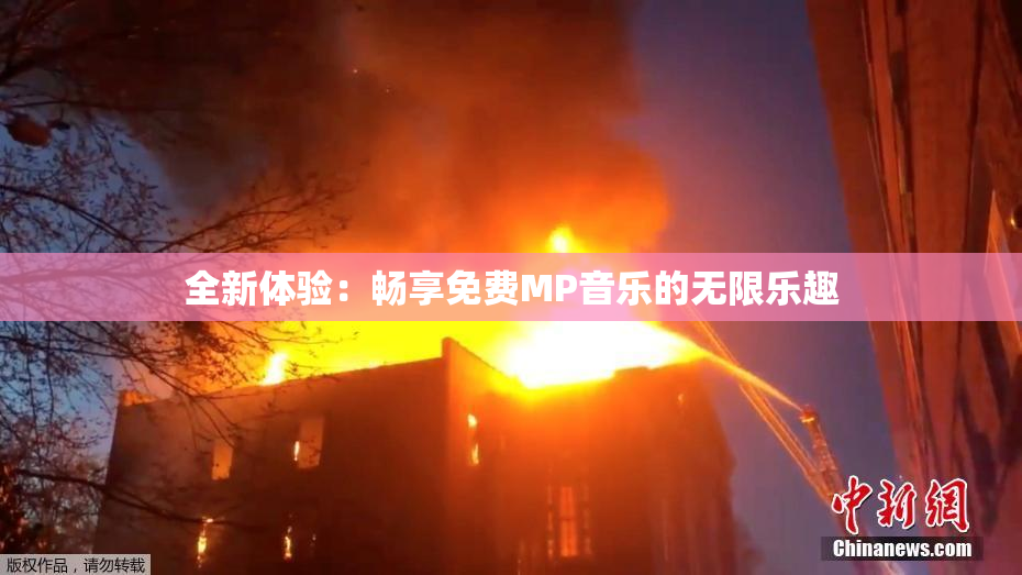 全新体验：畅享免费MP音乐的无限乐趣