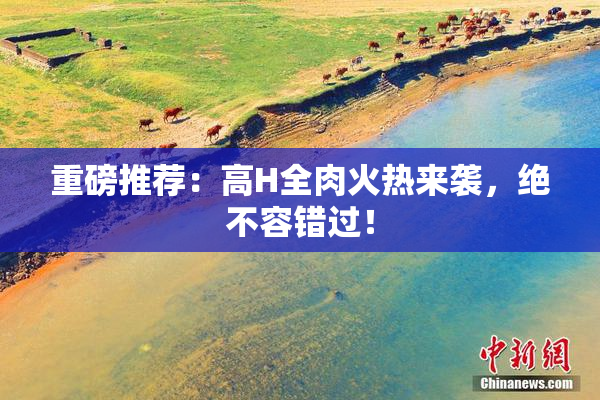 重磅推荐：高H全肉火热来袭，绝不容错过！