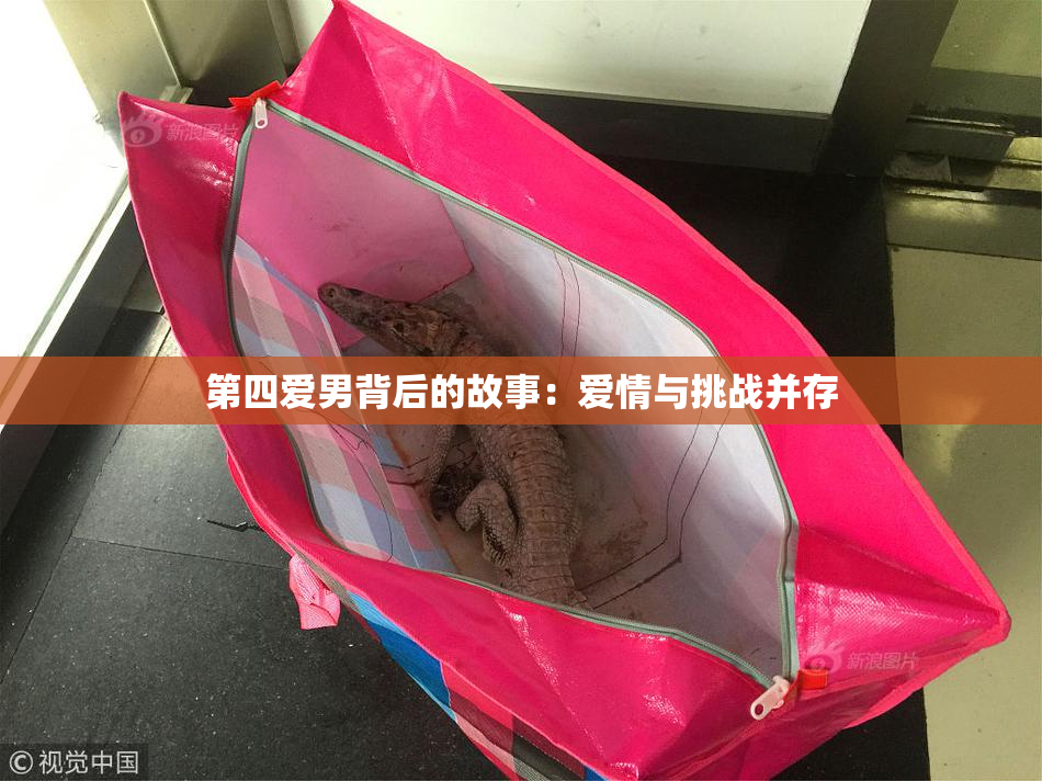 第四爱男背后的故事：爱情与挑战并存