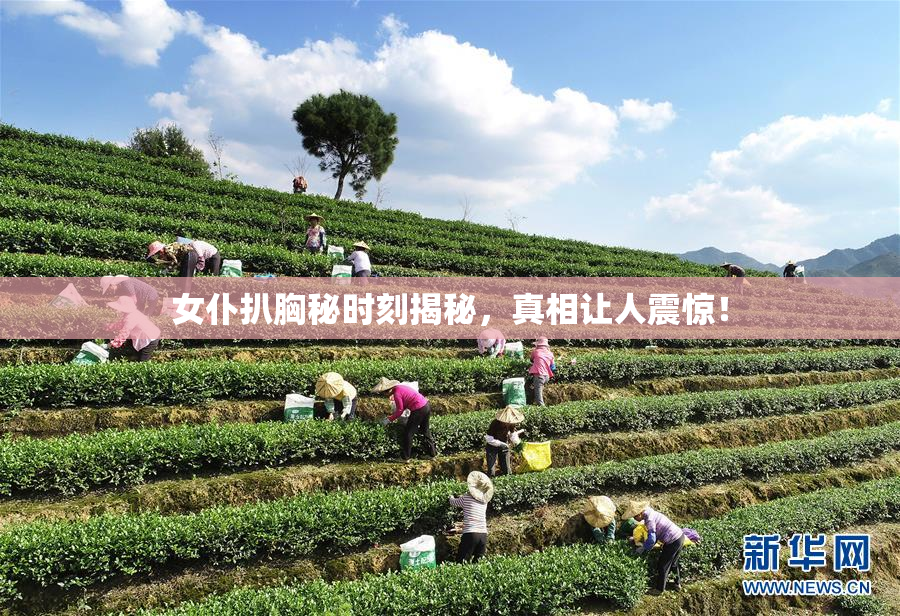 女仆扒胸秘时刻揭秘，真相让人震惊！