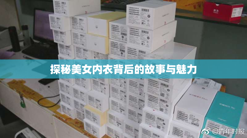 探秘美女内衣背后的故事与魅力