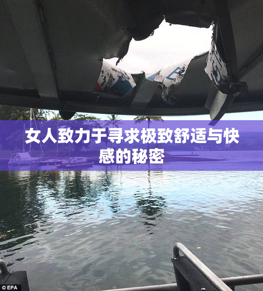 女人致力于寻求极致舒适与快感的秘密