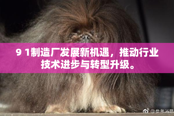9 1制造厂发展新机遇，推动行业技术进步与转型升级。