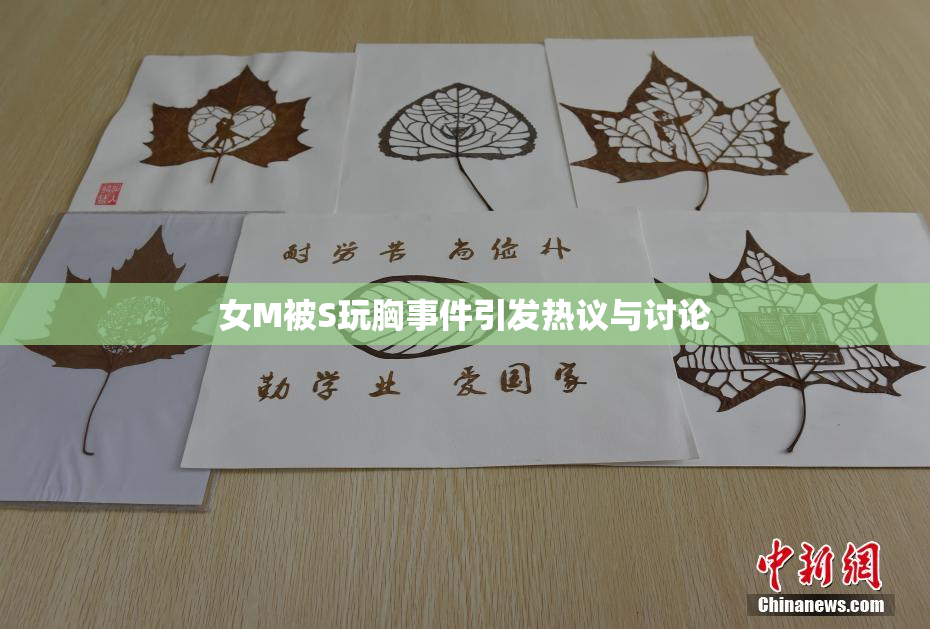 女M被S玩胸事件引发热议与讨论